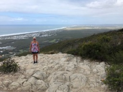 the view from Mount Coolum looking south